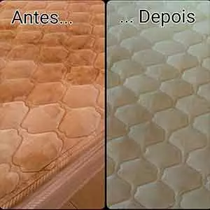 Remoção de Sujeira na Limpeza de tapete em Pirapora do Bom Jesus
