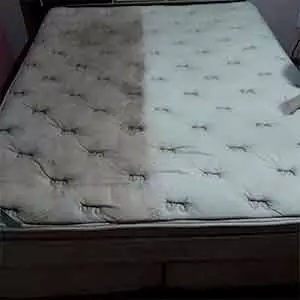 Seu Limpeza de tapete em Pirapora do Bom Jesus Limpo