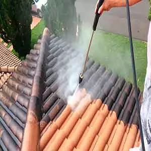 Entragamos Seu Limpeza de tapete em Pirapora do Bom Jesus em Casa