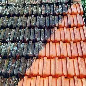 Áreas De Atuação da Limpeza de tapete em Pirapora do Bom Jesus